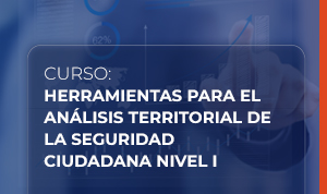 Herramientas para el análisis territorial de la seguridad ciudadana nivel I